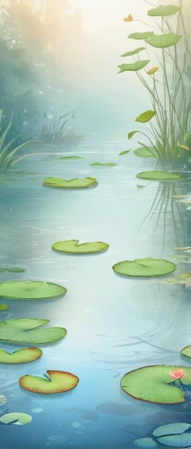 water lilies,aquatic plants,aquatic plant,lily pads,lily pond,lotus on pond,white water lilies,frog background,lotus pond,waterlily,pond plants,water lotus,water lily,lily pad,wetland,pond,pond flower,water plants,wetlands,lilly pond,Illustration,Black and White,Black and White 04