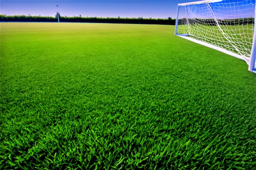 artificial turf,artificial grass,soccer field,football pitch,turf roof,quail grass,soccer-specific stadium,athletic field,turf,playing field,football field,green grass,gable field,soccer,grass blades,green lawn,goalkeeper,grass,chives field,block of grass,Illustration,Abstract Fantasy,Abstract Fantasy 08