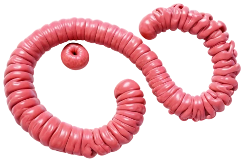 e-coli,intestines,mitochondrion,escherichia coli,nematode,ringed-worm,e-coli hazard,worm,bologna sausage,polyp,strozzapreti,pipe cleaner,pellworm,bacillus,longaniza,inflatable ring,sausage plate,boerewors,coils,cumberland sausage,Illustration,Realistic Fantasy,Realistic Fantasy 32