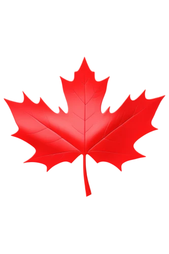 canadian flag,maple leaf red,maple leaf,canada cad,canadas,canada,red maple leaf,las canadas,canadian,canada air,yellow maple leaf,canadian dollar,buy weed canada,canadian football,canadian whisky,west canada,canadian fir,leaf background,maple leaves,north america,Conceptual Art,Sci-Fi,Sci-Fi 03