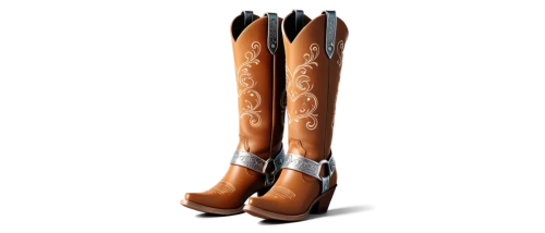 riding boot,women's boots,steel-toed boots,splint boots,horse tack,cowboy boot,cowboy boots,durango boot,saddle,boots turned backwards,steel-toe boot,ski equipment,boots,wooden saddle,trample boot,equestrian sport,cattle feet,motorcycle boot,cowboy beans,hiking equipment,Unique,3D,3D Character