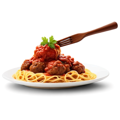 bolognese sauce,arrabbiata sauce,bolognese,amatriciana sauce,spaghetti alla puttanesca,pasta pomodoro,beef goulash,strozzapreti,meat sauce,tagliatelle,tomato sauce,italian pasta,spaguetti,linguine,cacciatore,italian cuisine,chicken marengo,capellini,goulash,italian food,Illustration,Realistic Fantasy,Realistic Fantasy 24