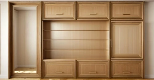 armoire,storage cabinet,cabinetry,cupboard,walk-in closet,cabinets,cabinet,kitchen cabinet,pantry,china cabinet,wardrobe,metal cabinet,hinged doors,dresser,under-cabinet lighting,dark cabinetry,chiffonier,switch cabinet,bathroom cabinet,drawers