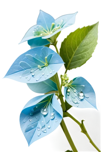 blue leaf frame,spring leaf background,leaf background,flowers png,rainy leaf,caprifoliaceae,plumbago,dewdrop,rose leaf,raindrop,rainwater drops,monsoon banner,fan leaf,aromatic plant,rainwater,mape leaf,waterdrop,cleanup,lotus leaf,water-leaf family,Unique,Paper Cuts,Paper Cuts 02