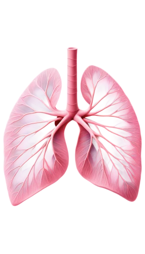 lungs,lung cancer,lung,respiratory protection,copd,medical illustration,kidney,renal,lung ching,ventilate,nonsmoker,airway,connective tissue,human internal organ,smoking cessation,venereal diseases,liver,circulatory,aorta,diaphragm,Conceptual Art,Fantasy,Fantasy 32