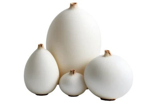 bocconcini,bowling pin,burmilla,garlic bulb,burrata,goose eggs,salt and pepper shakers,garlic bulbs,hardneck garlic,kelapa,decorative squashes,egg shells,eggplants,eggshells,cotton boll,white eggs,gourd,bitter gourd,pointed gourd,gourds,Conceptual Art,Fantasy,Fantasy 04