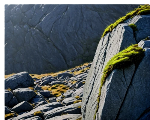 rock needle,mountain stone edge,boulders,alpine climbing,outcrop,alpine crossing,climbing rope,rock outcrop,spruce needle,split rock,cliff face,balanced boulder,rocky hills,crevasse,background with stones,dolerite rock,rocks,alpine dachsbracke,natural rope,cliffs,Illustration,Abstract Fantasy,Abstract Fantasy 09