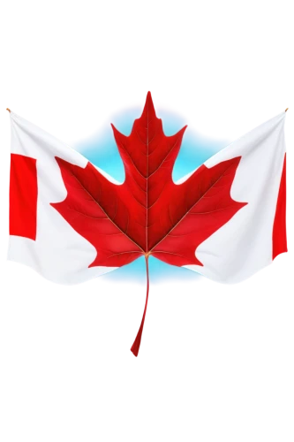 canadian flag,canada cad,buy weed canada,maple leaf red,maple leaf,canadas,canada,las canadas,canada air,canadian,canadian dollar,red maple leaf,hd flag,west canada,yellow maple leaf,canadian whisky,canadian football,country flag,leaf background,flag bunting,Illustration,Realistic Fantasy,Realistic Fantasy 37