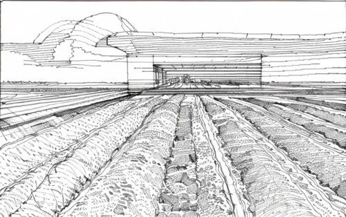 furrows,leek greenhouse,vegetable field,sugar beet,agroculture,vegetables landscape,field cultivation,stock farming,straw roofing,aggriculture,agricultural,furrow,stubble field,irrigation,agriculture,straw field,sugarcane,cactus line art,thatch roofed hose,root crop,Design Sketch,Design Sketch,None