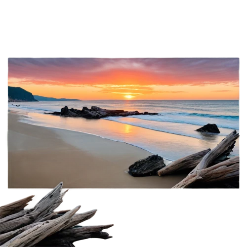 wood and beach,driftwood,beach landscape,landscape background,paparoa national park,background vector,sunrise beach,beach scenery,wooden planks,coastal landscape,wooden background,beach background,coastal and oceanic landforms,sunset beach,new south wales,wood background,mountain beach,background images,byron bay,backgrounds texture,Illustration,Abstract Fantasy,Abstract Fantasy 17