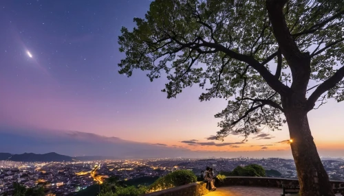 japan's three great night views,chiang mai,haiti,la palma,meteor shower,shooting star,tenerife,acapulco,celestial phenomenon,perseid,namsan mountain,taiwan,quito,da nang,honduras,namsan,el salvador,medellin,moon and star background,perseids,Photography,General,Realistic