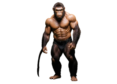 ape,gorilla,chimp,silverback,primate,chimpanzee,orang utan,the monkey,bodybuilding,common chimpanzee,orangutan,barbary ape,great apes,neanderthal,body building,kong,tarzan,barbary monkey,monkey,cave man,Illustration,Realistic Fantasy,Realistic Fantasy 08