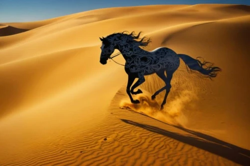 arabian horse,libyan desert,shadow camel,the gobi desert,arabian horses,capture desert,gobi desert,arabian camel,sahara desert,desert run,desert racing,admer dune,sahara,desert background,desert landscape,sand road,namib desert,namib,steppe,desert safari