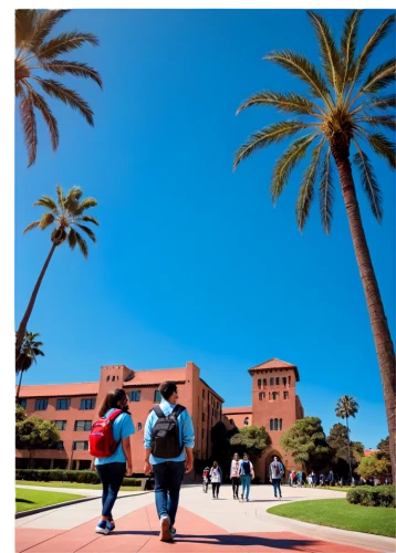 stanford university,community college,university al-azhar,texas tech,colleges,santa barbara,campus,business school,heads of royal palms,usyd,date palms,emirates palace hotel,university,soochow university,graduate silhouettes,agricultural engineering,royal palms,morocco,california,palo alto,Art,Artistic Painting,Artistic Painting 05