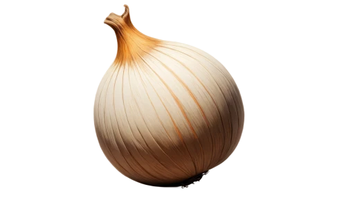 persian onion,head of garlic,garlic bulb,hardneck garlic,shallot,bulgarian onion,chinese garlic,cultivated garlic,garlic,endive,clove garlic,onion,pearl onion,sfogliatelle,a clove of garlic,clove of garlic,roasted garlic,onion bulbs,yellow onion,welsh onion,Illustration,Black and White,Black and White 23