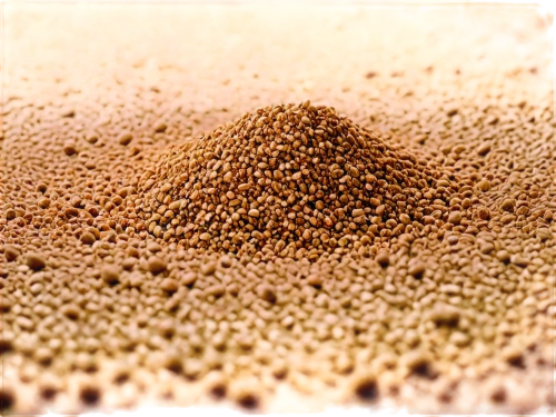 amaranth grain,psyllium seed husks,injera,coffee grains,coffee powder,buckwheat flour,granulated sugar,cocoa powder,grains,sand texture,sorghum,malt,soybean oil,anthill,baharat,granules,garam masala,sand,cereal grain,mustard seeds,Photography,Fashion Photography,Fashion Photography 12