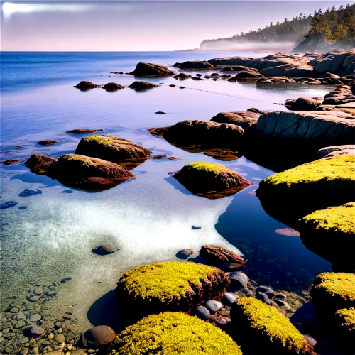 bar harbor,vancouver island,lake superior,maine,rocky beach,coastline,coastal landscape,rocky coast,split rock,beach landscape,nubble,tide pool,shoreline,granite island,thimble islands,new england,massachusetts,seashore,baltic sea,low tide,Illustration,Vector,Vector 09