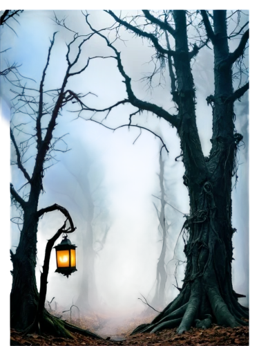 street lamps,outdoor street light,hanging lantern,illuminated lantern,lamplighter,lantern,street lamp,gas lamp,landscape lighting,iron street lamp,streetlamp,vintage lantern,haunted forest,foggy landscape,lamppost,mystery book cover,streetlight,halloween poster,lamp post,autumn fog,Illustration,Realistic Fantasy,Realistic Fantasy 03