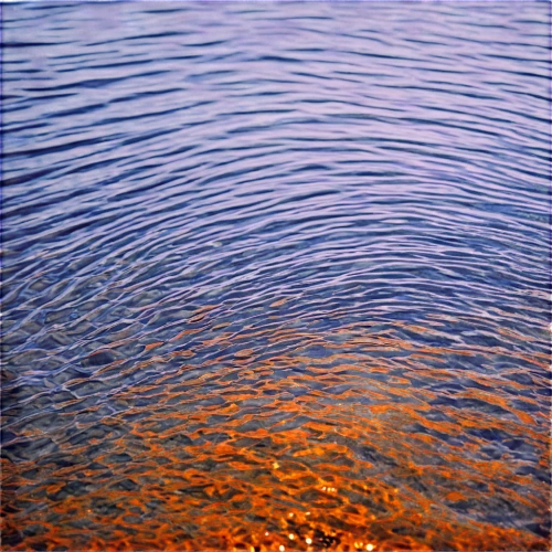 ripples,reflection of the surface of the water,water surface,water waves,waves circles,surface tension,reflections in water,reflection in water,feather on water,pool water surface,ripple,waterscape,whirlpool pattern,water reflection,sea-lavender,water scape,still water splash,on the water surface,sea beach-marigold,currents,Photography,Documentary Photography,Documentary Photography 12