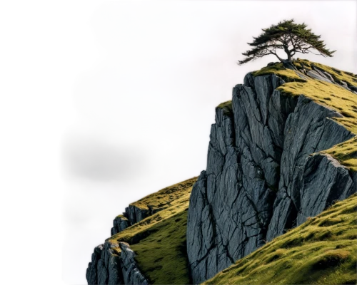 rock needle,volcanic plug,spruce needle,isolated tree,rock outcrop,lone tree,outcrop,mountain stone edge,rocky hills,cliff face,mountain slope,limestone cliff,rock formation,mountainous landforms,karst landscape,cliffs,larch tree,terrain,mountain pasture,rock formations,Illustration,Realistic Fantasy,Realistic Fantasy 45