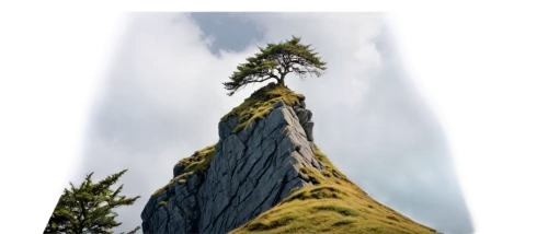 spruce needle,rock needle,isolated tree,volcanic plug,lone tree,trees with stitching,split rock,the needle,devilwood,megalith,redwood tree,camel peak,goat mountain,5 dragon peak,larch tree,bigtree,rock formation,mountain slope,devil's tower,landscape background,Illustration,Realistic Fantasy,Realistic Fantasy 15