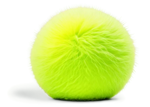 tennis ball,green kiwi,luffa,pompom,kiwifruit,patrol,lacrosse ball,cotton boll,fuzzy navel,lime,honeydew,honey dew melon,schisandraceae,dog toy,bergamot,aaa,muskmelon,hardy kiwi,kiwi,sliced lime,Illustration,Black and White,Black and White 16