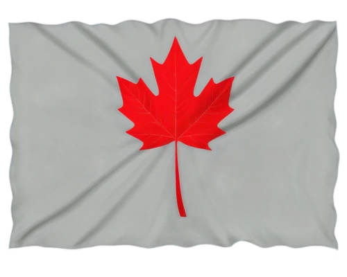 canadian flag,maple leaf red,maple leaf,canada cad,red maple leaf,flag bunting,canadas,canada,canada air,yellow maple leaf,canadian dollar,las canadas,pennant,buy weed canada,hd flag,country flag,canadian,race track flag,west canada,racing flags,Illustration,Paper based,Paper Based 11