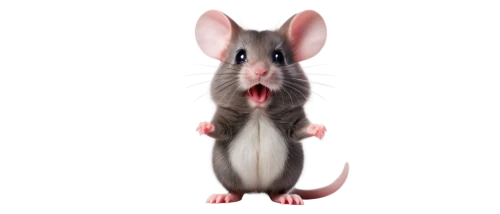 lab mouse icon,rat,white footed mouse,mouse,rodentia icons,rat na,jerboa,grasshopper mouse,color rat,rodent,mouse bacon,white footed mice,chinchilla,gerbil,rataplan,field mouse,baby rat,ratite,mice,ratatouille,Photography,General,Fantasy