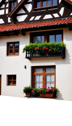 half-timbered wall,half-timbered house,half-timbered,exterior decoration,timber framed building,half-timbered houses,appenzell,swiss house,half timbered,eguisheim,rothenburg,chilehaus,blauhaus,to staufen,styria,alsace,wissembourg,dürer house,franconian switzerland,houses clipart,Conceptual Art,Daily,Daily 03