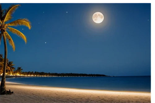 beach moonflower,moonlit night,coconut palms,coconut trees,moonrise,moonlit,dominican republic,moon photography,moon and star background,punta-cana,moon at night,full moon,super moon,coconut tree,coconuts on the beach,beautiful beaches,night photography,night image,waikiki beach,cape verde island,Art,Artistic Painting,Artistic Painting 35