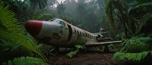 plane wreck,airplane crash,plane crash,crash landing,rain forest,jurassic,the plane,rainforest,millenium falcon,x-wing,grounded,starwars,diorama,airplane,the wreck,star wars,indiana jones,ecto-1,lost place,uss voyager,Illustration,Realistic Fantasy,Realistic Fantasy 38