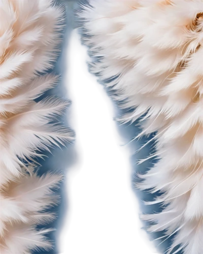 angel wings,angel wing,white feather,fur,ostrich feather,foxtail,swan feather,feather boa,chicken feather,feather,parrot feathers,feathers,fur clothing,hawk feather,fur coat,bird feather,bird wings,feathery,abstract air backdrop,color feathers,Illustration,Black and White,Black and White 28