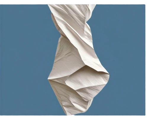 tissue paper,polypropylene bags,crumpled paper,napkin,folded paper,handkerchief,cotton cloth,linen paper,non woven bags,tissue,linen,cotton pad,cloth,crumpled,white silk,rolls of fabric,cotton swab,wrinkled paper,wind sock,tallit,Illustration,Black and White,Black and White 23