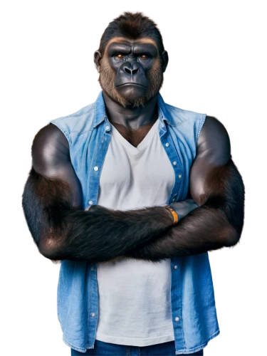 gorilla,ape,silverback,kong,chimp,great apes,gorilla soldier,primate,king kong,chimpanzee,orang utan,pubg mascot,bonobo,orangutan,the monkey,cougnou,png image,monkey,war monkey,the mascot,Conceptual Art,Graffiti Art,Graffiti Art 10