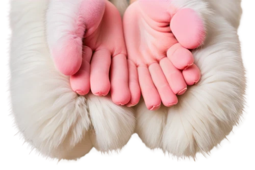 dog paw,dog cat paw,cat's paw,paw,paws,bear paw,pawprint,pawprints,cats angora,paw prints,formal gloves,paw print,cat paw mist,polydactyl cat,gloves,pig's feet,angora,fur clothing,mittens,latex gloves,Conceptual Art,Daily,Daily 26