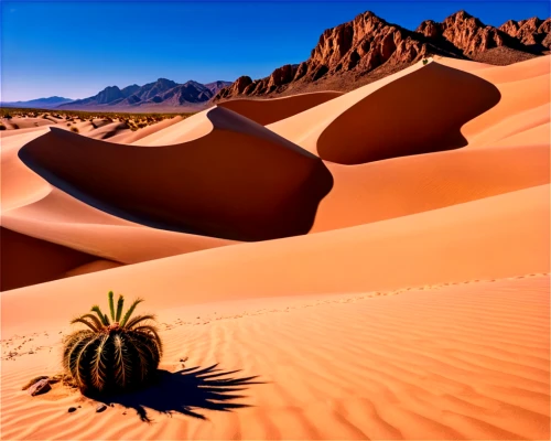 desert desert landscape,libyan desert,desert plant,desert landscape,argentina desert,desert background,desert,capture desert,arid landscape,desert plants,arid,the desert,flowerful desert,desert flower,sahara desert,arid land,gobi desert,stone desert,desertification,sahara,Conceptual Art,Fantasy,Fantasy 22