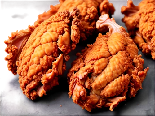 crispy fried chicken,fried chicken,fried chicken fingers,chicken tenders,chicken fingers,chicken meat,chicken strips,chicken drumsticks,fried chicken wings,cheese fried chicken,brakel chicken,chicken breast,fried bird,seasoned chicken feet,chicken product,fried meat,boneless skinless chicken thighs,chicken breast fillet,fried fish,chicken wings,Photography,Fashion Photography,Fashion Photography 02