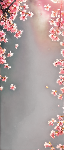 japanese sakura background,sakura background,japanese floral background,sakura trees,sakura tree,spring leaf background,autumn cherry blossoms,takato cherry blossoms,sakura blossoms,sakura blossom,the cherry blossoms,sakura,sakura cherry tree,cherry blossoms,cherry blossom tree,cold cherry blossoms,sakura branch,japanese cherry blossoms,cherry trees,spring background,Unique,Pixel,Pixel 04
