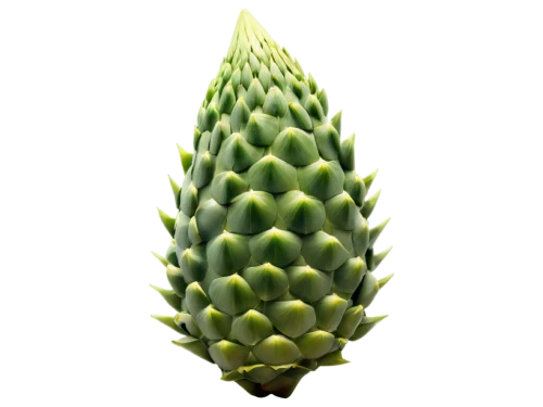 ananas,pineapple plant,fir pineapple,cone,ananas comosus,pinapple,a pineapple,small pineapple,pineapple background,pineapple,young pineapple,pineapple wallpaper,ericaceae,pineapple flower,pitahaya,cones,oleaceae,durian seed,jasione,pitaya,Illustration,Retro,Retro 15