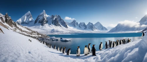 antartica,antarctica,antarctic,ice landscape,baffin island,snow landscape,south pole,snow mountains,glacial landform,ski touring,corona winter,glacial lake,snowy mountains,nordland,ski mountaineering,arctic antarctica,snowy peaks,snow mountain,crampons,snowy landscape,Photography,General,Fantasy