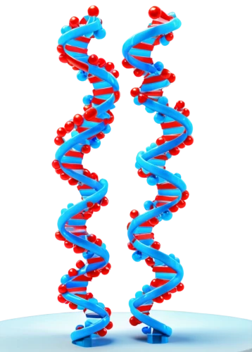 dna helix,dna,genetic code,dna strand,deoxyribonucleic acid,rna,nucleotide,double helix,biosamples icon,genetics,isolated product image,the structure of the,mutation,chromosomes,pcr test,stage of life,trisomy,meiosis,limicoles,acefylline,Illustration,Realistic Fantasy,Realistic Fantasy 38
