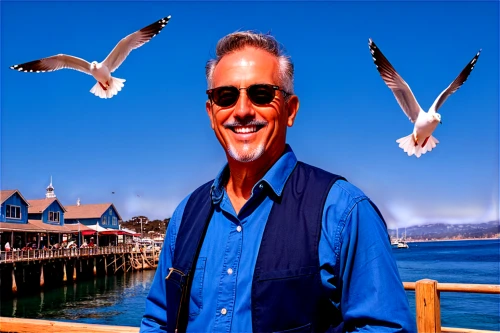 image editing,image manipulation,silver seagull,portrait background,photographic background,seagulls flock,sea gulls,beach background,seagulls,digital compositing,flying sea gulls,photoshop manipulation,silver fox,creative background,kelp gull,3d background,seabird,digital background,photo art,in photoshop,Illustration,Black and White,Black and White 03