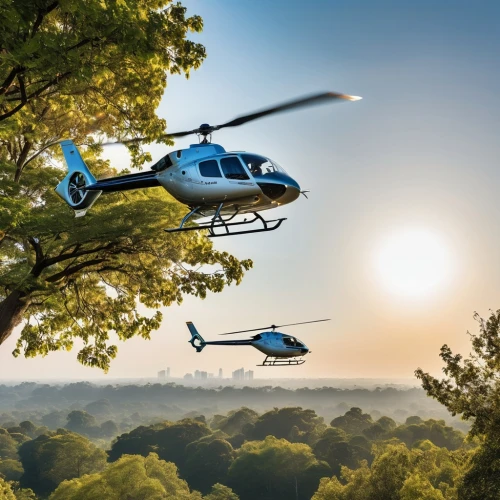 bell 206,bell 214,bell 212,bell 412,eurocopter,rotorcraft,police helicopter,hal dhruv,radio-controlled helicopter,eurocopter ec175,ambulancehelikopter,hiller oh-23 raven,sikorsky s-64 skycrane,black hawk sunrise,gyroplane,helicopters,bell uh-1 iroquois,sikorsky hh-52 seaguard,helicopter,sunrise flight,Photography,General,Realistic