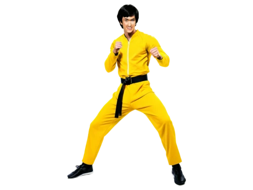 bruce lee,yellow jumpsuit,martial arts uniform,elvis impersonator,jeet kune do,yellow jacket,kung fu,elvis,yellow,karate,aa,wushu,kungfu,stud yellow,shaolin kung fu,savate,elvis presley,yellow mustard,yuzu,cleanup,Conceptual Art,Fantasy,Fantasy 09