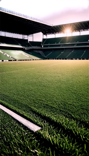 artificial turf,football pitch,artificial grass,soccer field,soccer-specific stadium,turf,the ground,football field,forest ground,athletic field,stadion,football stadium,chives field,green grass,turf roof,floodlights,playing field,stade,stadium,green lawn,Photography,Black and white photography,Black and White Photography 08