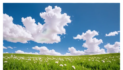 cloud image,cumulus cloud,background vector,cumulus clouds,cotton grass,blue sky and white clouds,landscape background,cloud computing,cloud shape frame,cumulus,single cloud,meadow landscape,towering cumulus clouds observed,about clouds,blue sky and clouds,spring background,grassland,white clouds,blue sky clouds,cumulus nimbus,Art,Classical Oil Painting,Classical Oil Painting 09