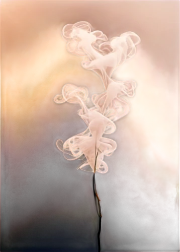 branched asphodel,apophysis,kahila garland-lily,flowers png,abstract smoke,whirlwind,water-the sword lily,schopf-torch lily,whirling,autumnalis,abelia,fireweed,veil fog,tendrils,heracleum (plant),wind,burning bush,spark of shower,light bearer,angel trumpet,Art,Artistic Painting,Artistic Painting 31