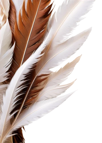 hawk feather,feather headdress,chicken feather,bird feather,parrot feathers,feather jewelry,feather,white feather,feathers,prince of wales feathers,beak feathers,pigeon feather,color feathers,feather bristle grass,swan feather,feathers bird,peacock feathers,peacock feather,bird wing,plumage,Illustration,Realistic Fantasy,Realistic Fantasy 03