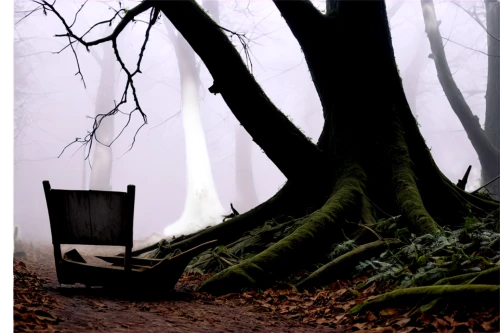 tree with swing,creepy tree,isolated tree,haunted forest,black forest,tree and roots,halloween bare trees,witch house,fallen tree,tree house,old tree,the roots of trees,tree thoughtless,foggy forest,old tree silhouette,enchanted forest,northern black forest,forest tree,forest chapel,witch's house,Conceptual Art,Sci-Fi,Sci-Fi 23