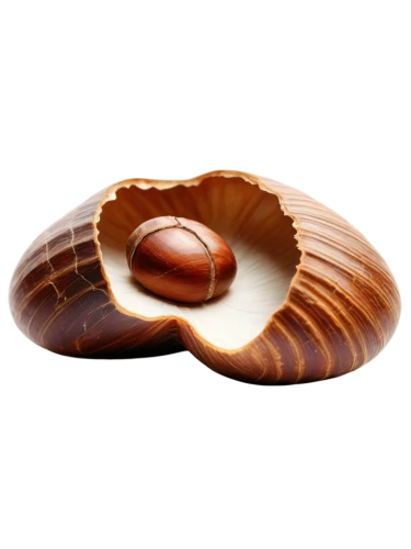 wooden bowl,bowl of chestnuts,singing bowl massage,sea shell,wooden spinning top,calabash,singing bowl,agate carnelian,bossche bol,agate,coconut shell,serving bowl,tibetan bowl,spiny sea shell,two-handled sauceboat,clam shell,wooden plate,baltic clam,beach shell,soap dish,Illustration,Abstract Fantasy,Abstract Fantasy 02